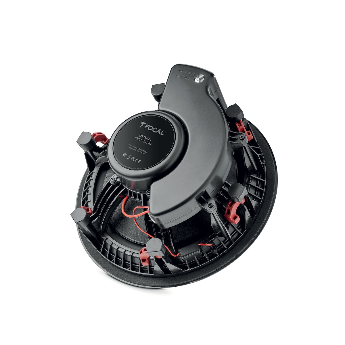 1000_ICW10_Littora_34_Dos