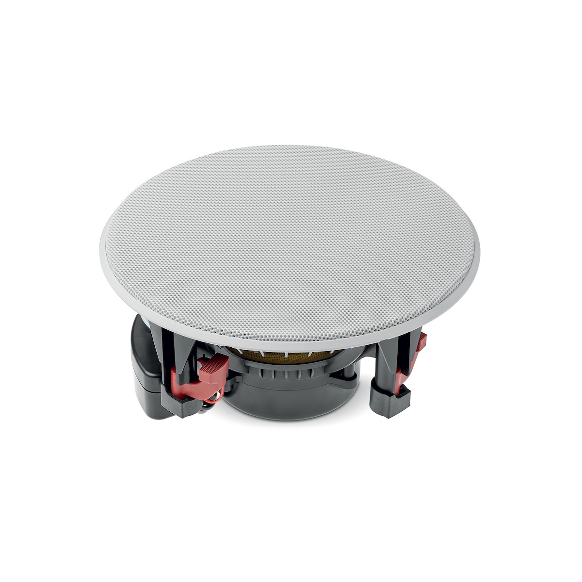 200_ICW6_Littora_34_PT_rond