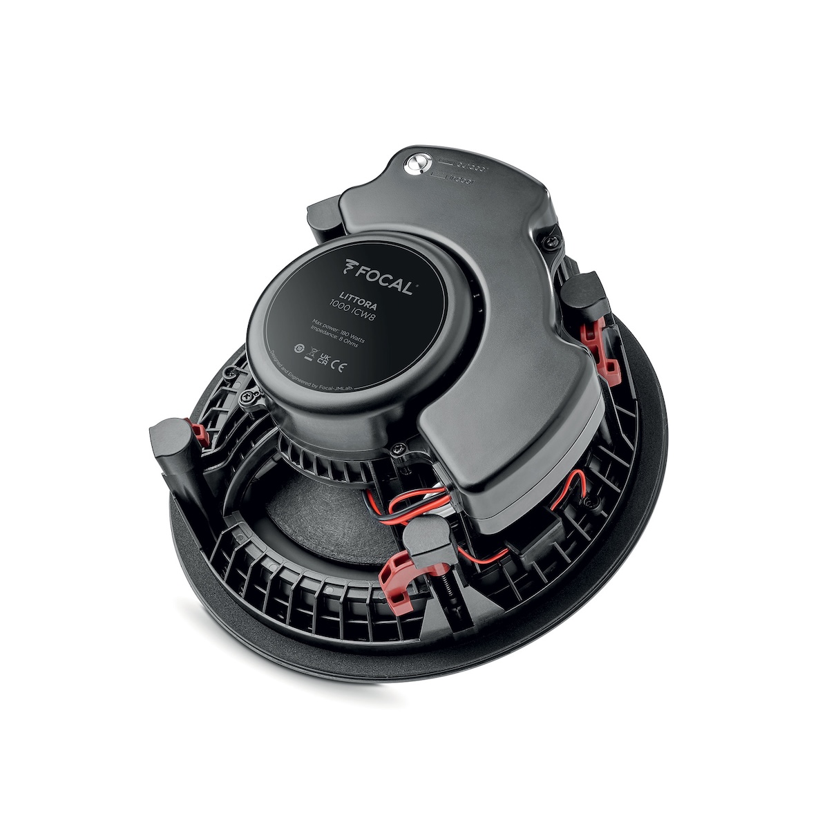 Littora_1000_ICW8_34_dos