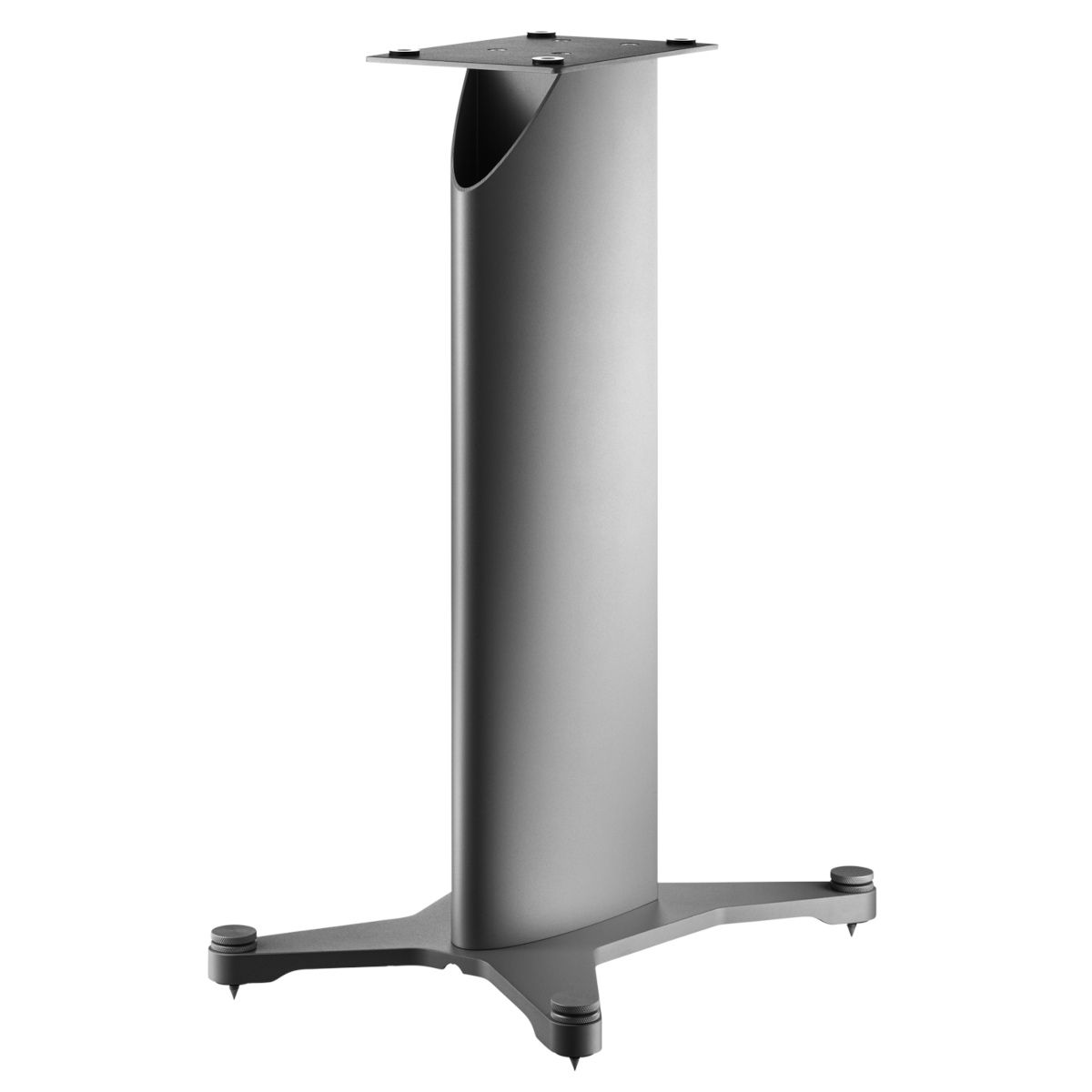 stand_20_silver_back
